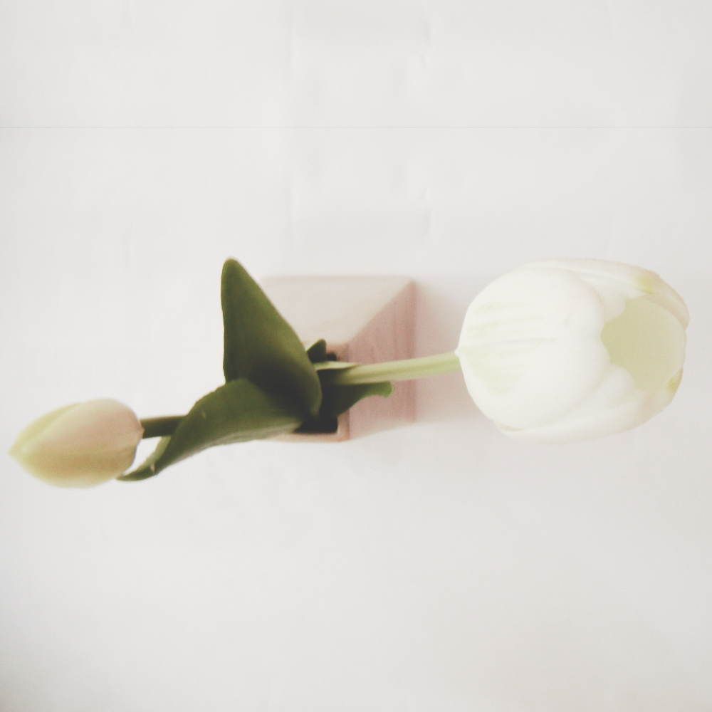 Florero Obelisco